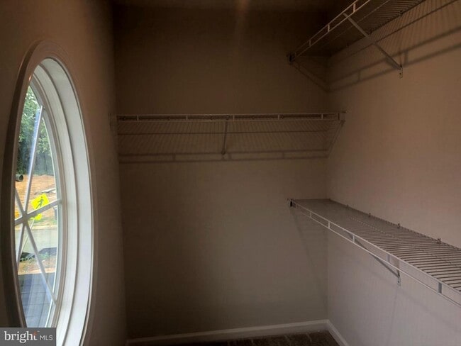 Building Photo - 5363 Yellow Birch Wy