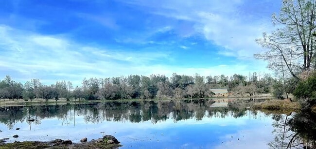 Building Photo - 14506 Spruce Grove Rd