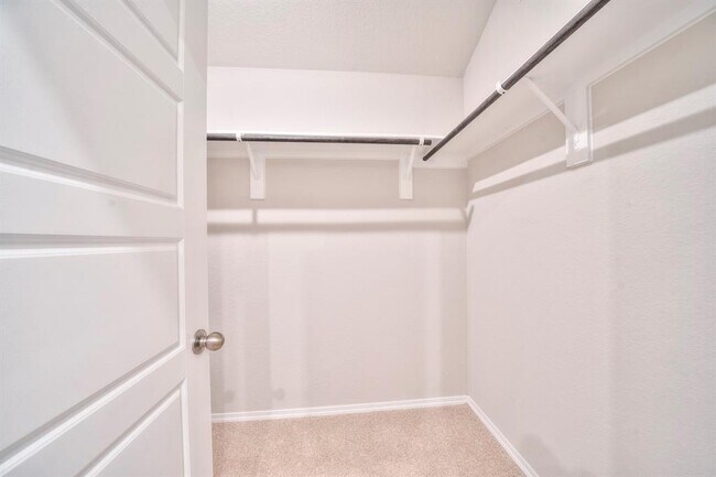 Building Photo - 2637 Shady Cedar Ct