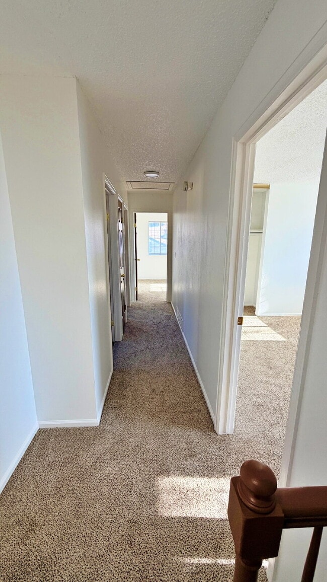 Building Photo - Fantastic 4 Bed 3 Bath 2 Car Garage Home in Aurora Highlands! NEW Carpet! NEW Paint! NEW Bathroom...