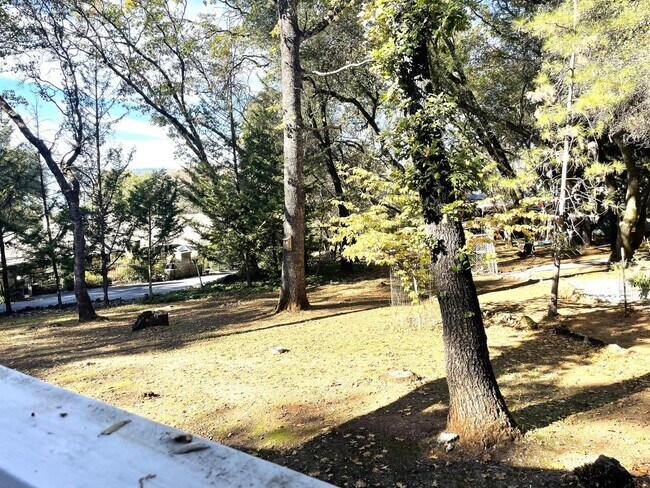 Building Photo - Open Floor plan single story home in beautiful Penn Valley, CA 95946