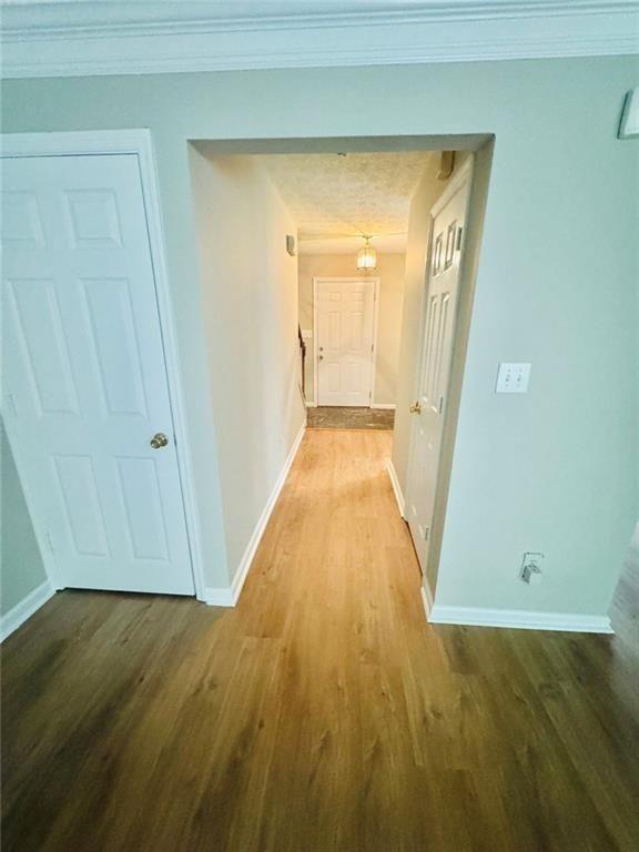 Building Photo - 146 Willow Stream Ct