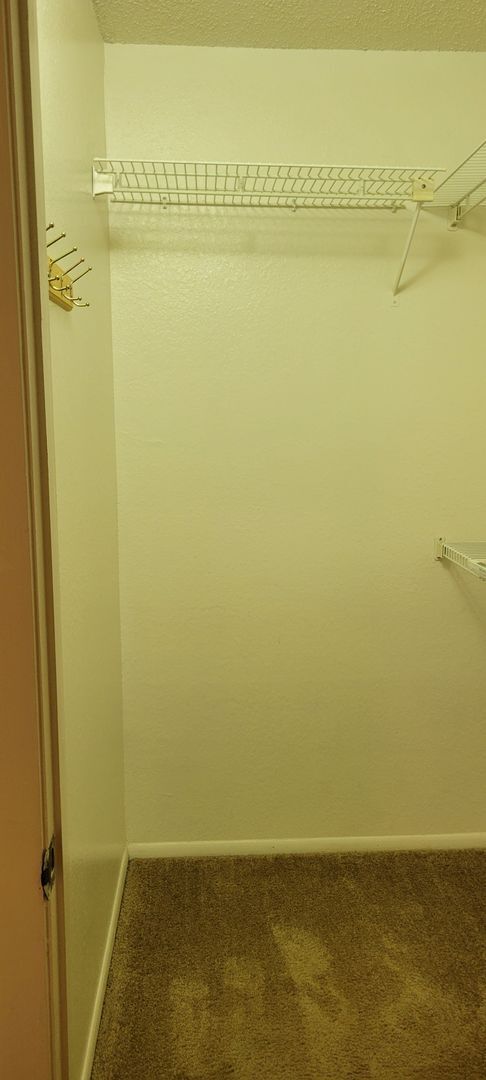 Building Photo - Large one bedroom condo