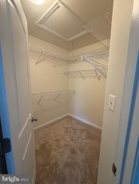 Building Photo - 165 Royal Ct