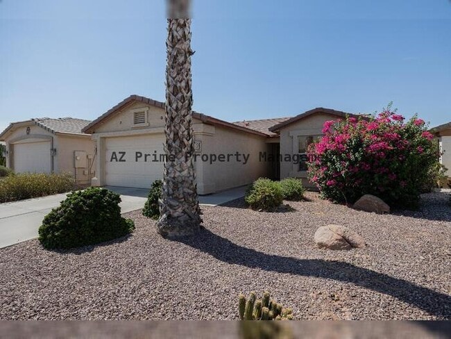 Building Photo - 3431 E Torrey Pines Ln