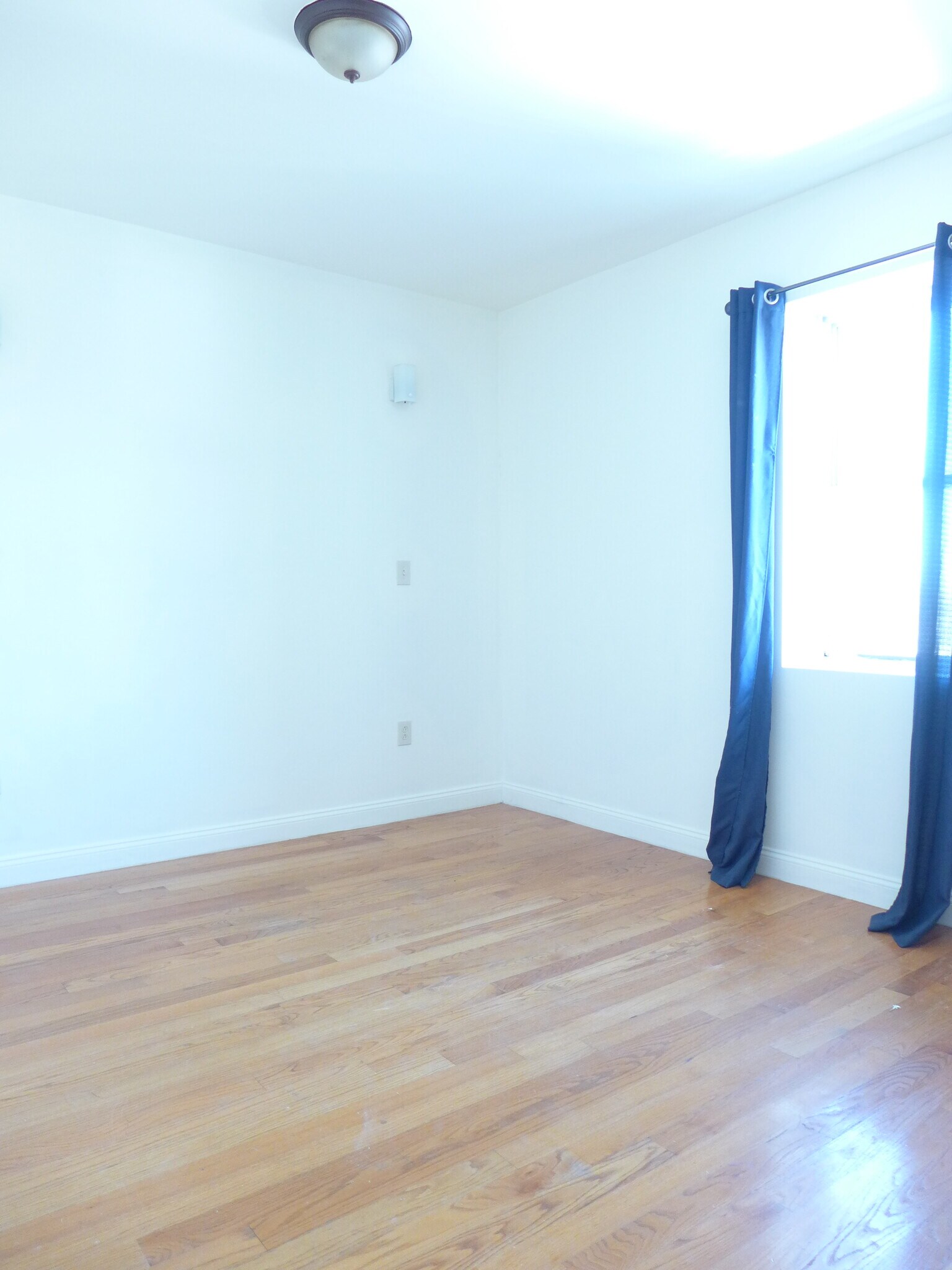 Building Photo - 48 Dudley St