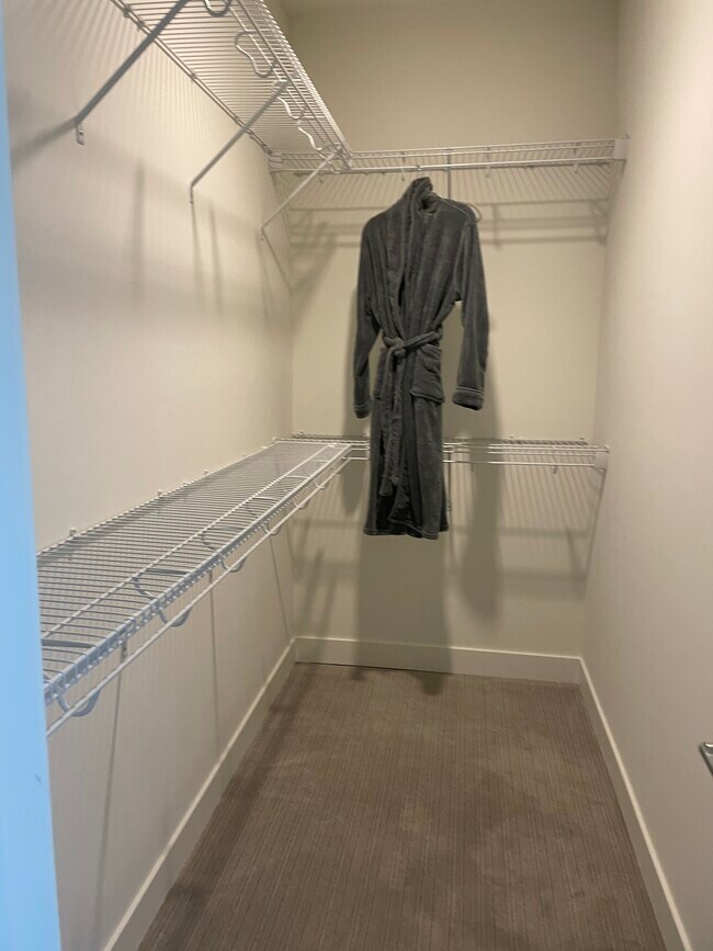 Master walk-in closet - 572 Hudson Ave