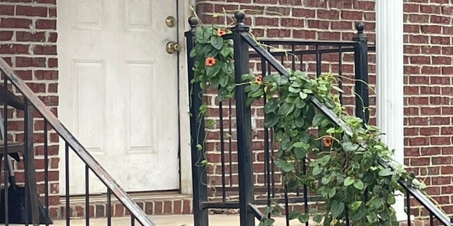 Primary Photo - Wolf Manor