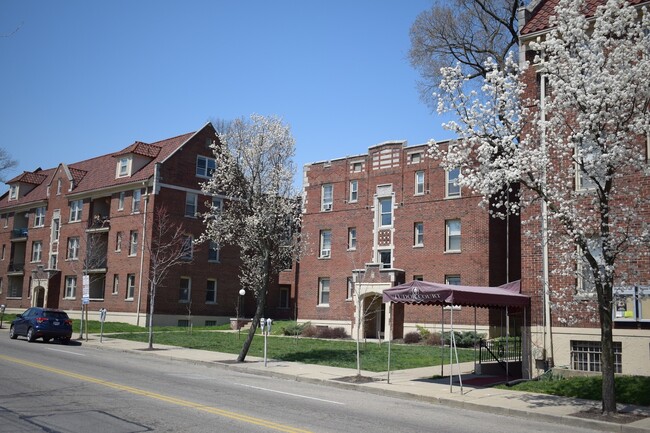 TC Tree Blossoms - Tudor Court