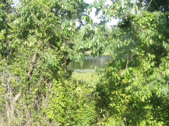 Building Photo - Spacious 4 Bedroom 2236 Sq Ft Call Carole Arcaro 386-216-4900 Deltona L Realty