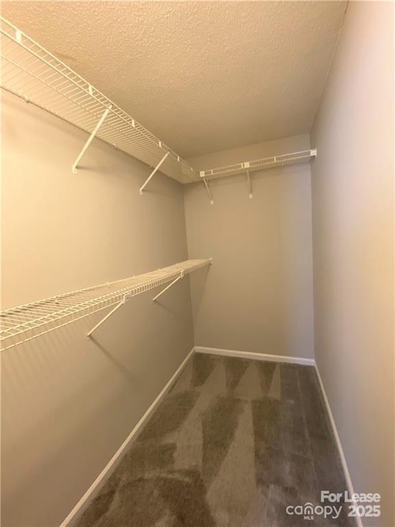 Building Photo - 6217 Bandy Dr