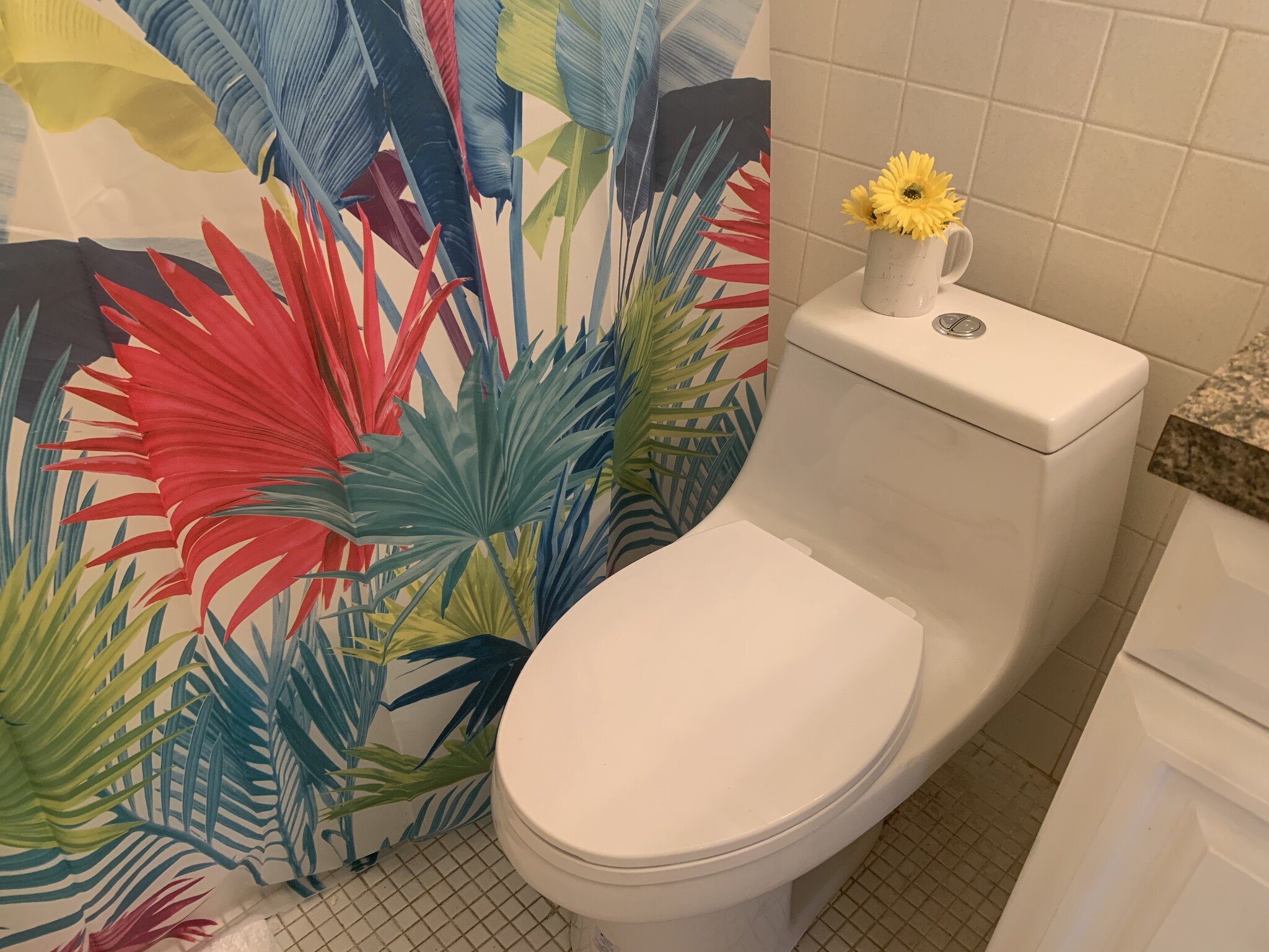 Brand new toilet - 6266 1st Ave S