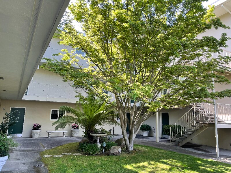 Building Photo - 3224 Palos Verdes Ct