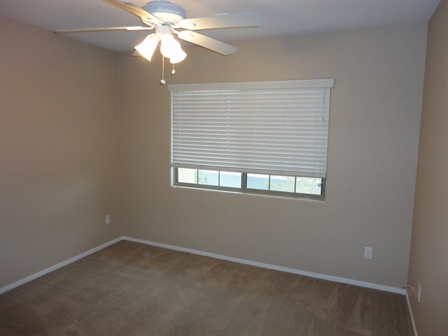 Building Photo - 5516 Stelle Amore St