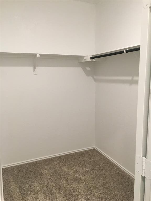 Building Photo - 558 Gabbro Gdns