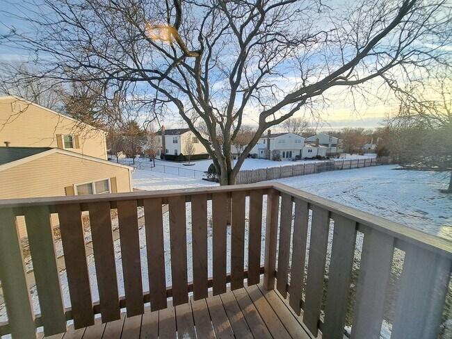 Building Photo - 1060 Newport Harbor