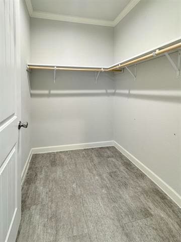Building Photo - 4410 Black Buck Cir