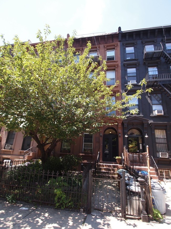 502 Clinton Ave 502 Clinton Ave Brooklyn NY 11238 Apartment Finder