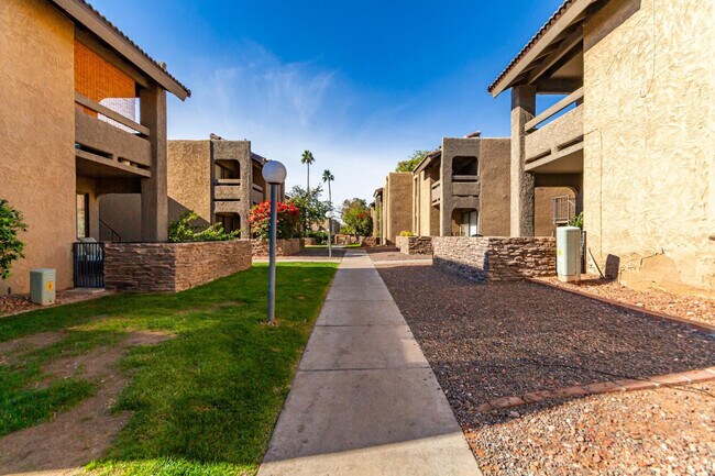 Building Photo - 3825 E Camelback Rd