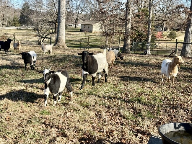 Building Photo - 3521 Mint Rd