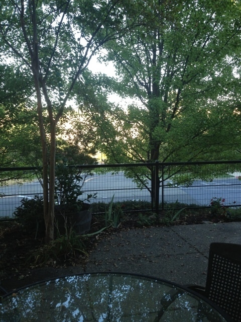 Building Photo - Fantastic Former Model Home in a 55+ El Dorado Hills Community!