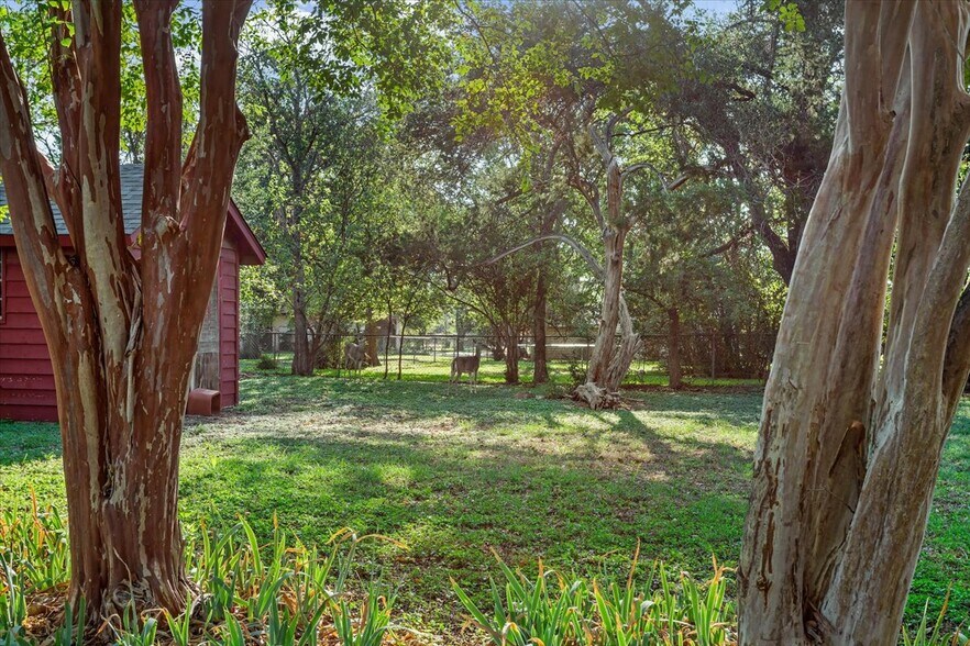 Building Photo - 12205 Midland Walk