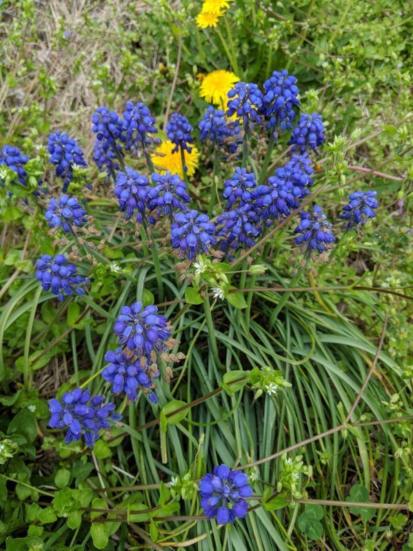 Building Photo - 1 Monroe Bay Ave