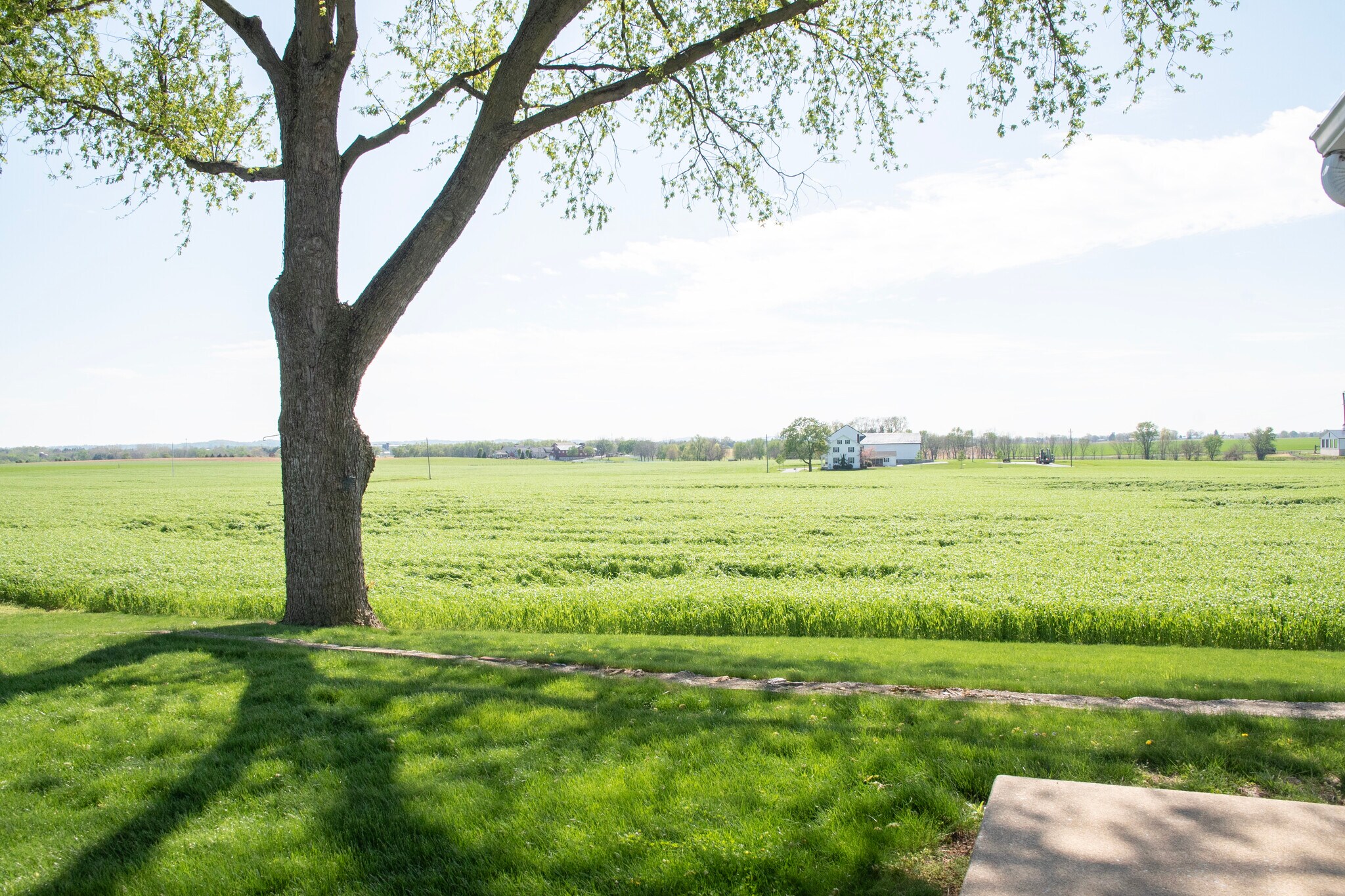 Building Photo - 488 S Colebrook Rd