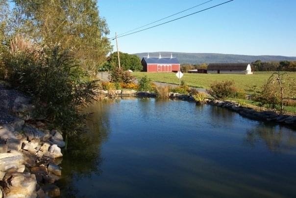 Beautiful fish pond - 6245 Iron Bridges Rd