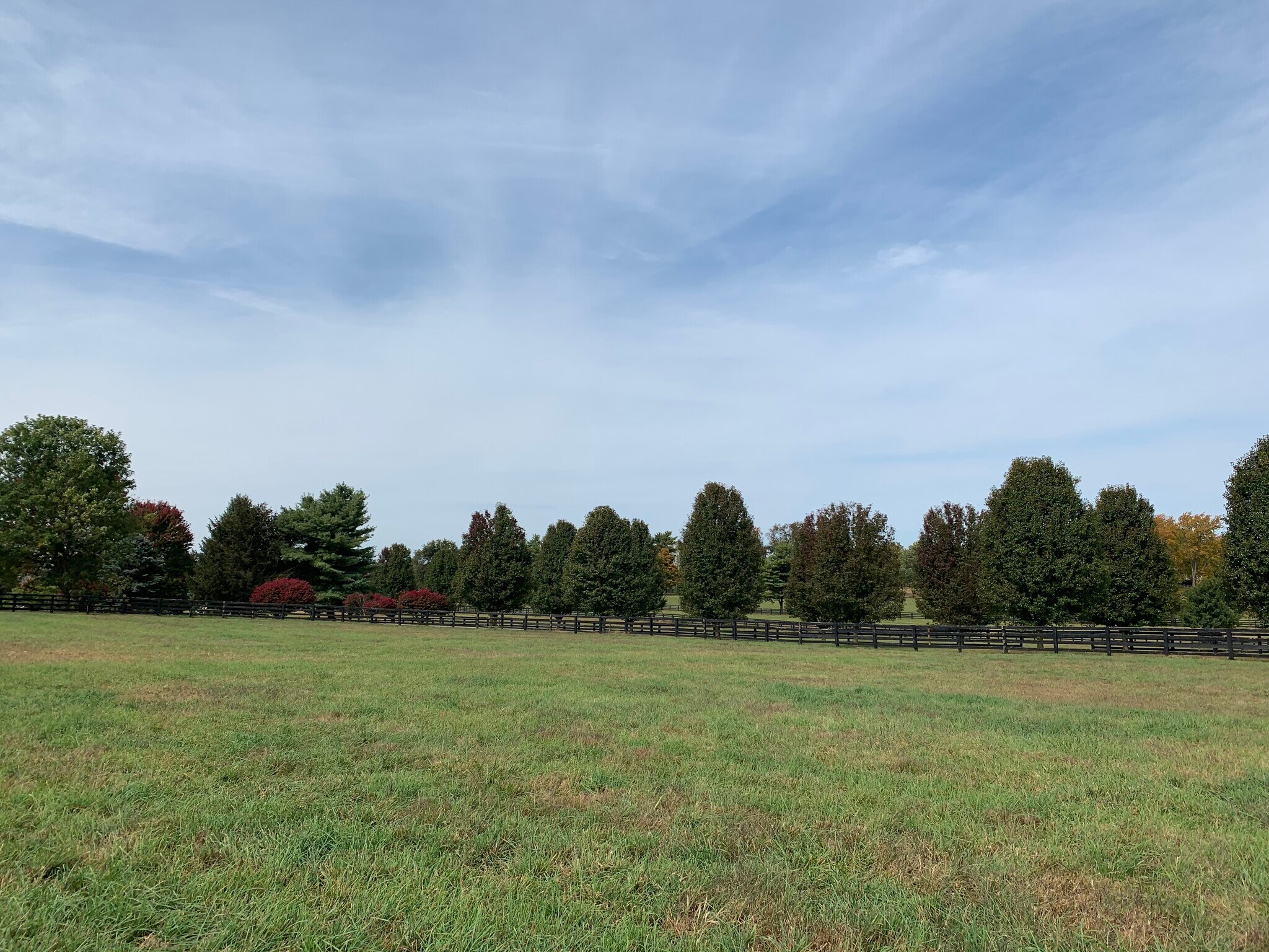 Building Photo - 2900 Newtown Pike
