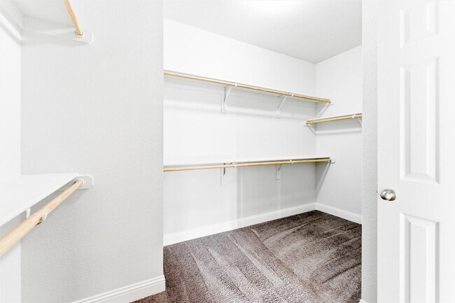 Building Photo - 5649 Salt Springs Dr