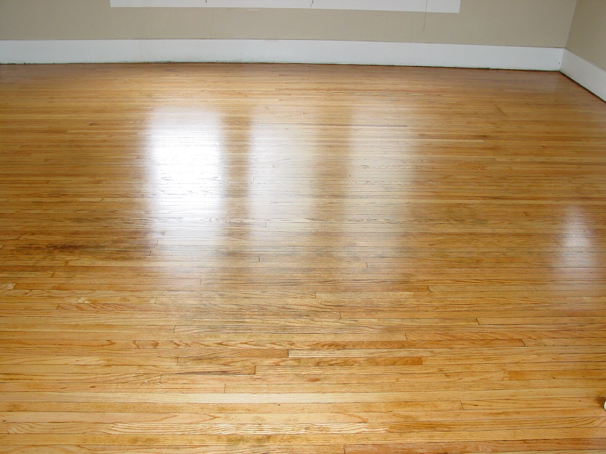 Beautiful Living Area - 20 N Locust St