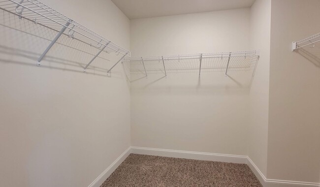 Building Photo - 114 Marbella Grove Ct