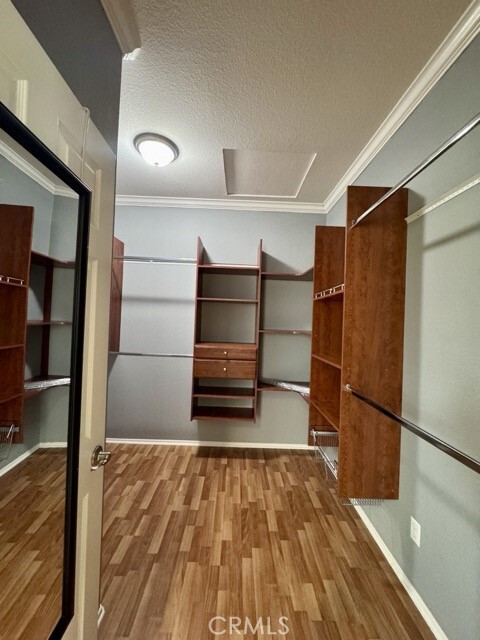 Building Photo - 31536 Whitedove Ln