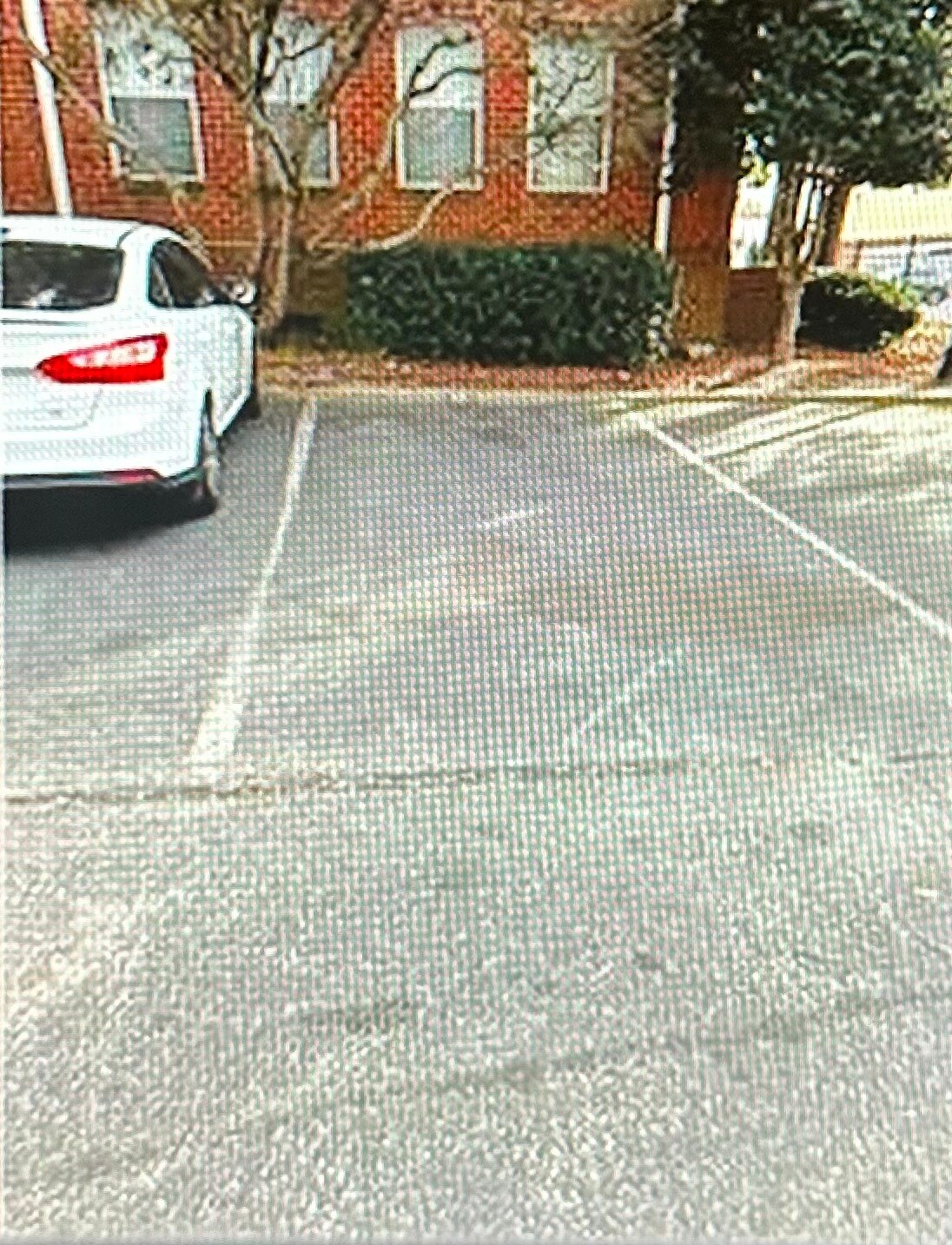 Building Photo - 103 Westover Ave