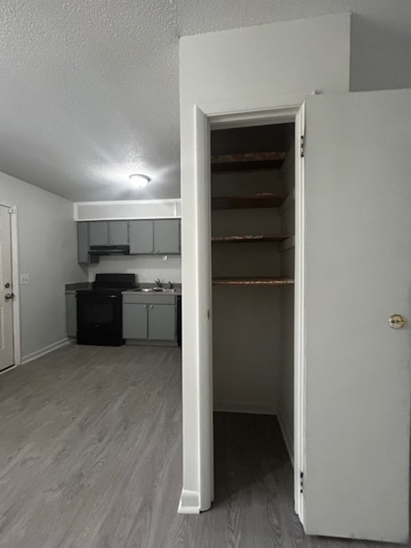 Building Photo - 1829 Tall Pines Cir
