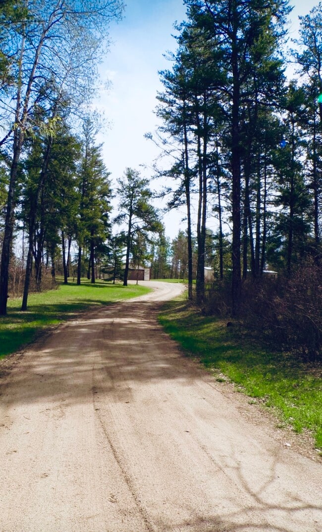 Long tree lined driveway leading to home. - 16314 County 6