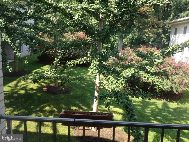 Building Photo - 7 Rockford Rd