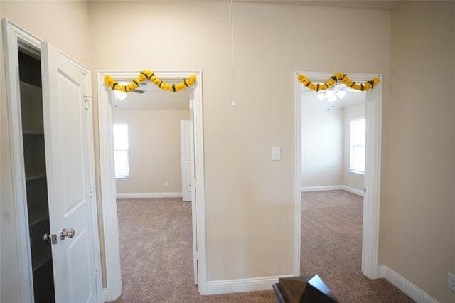 Building Photo - 3657 Harebell Dr