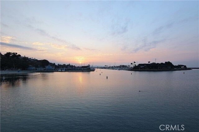 Building Photo - 33542 Street of the Blue Lantern