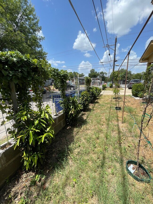 Building Photo - Amazing detached 2/2.5 duplex in Central Austin!!!