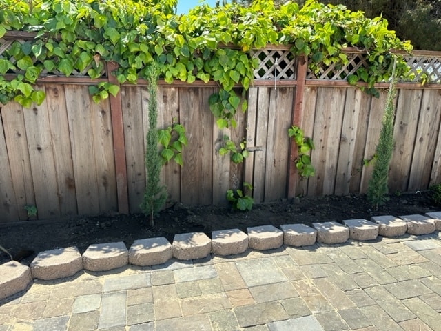 Building Photo - 1992 Bandoni Ave