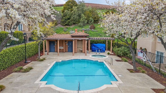 Building Photo - Corner Unit Condo with Vineyard Views – 2 Bed, 2 Bath – Quiet, Private, and Convenient!