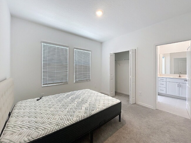 Building Photo - Beautiful New Townhome in The Townes at Cross Creek | New Tampa!