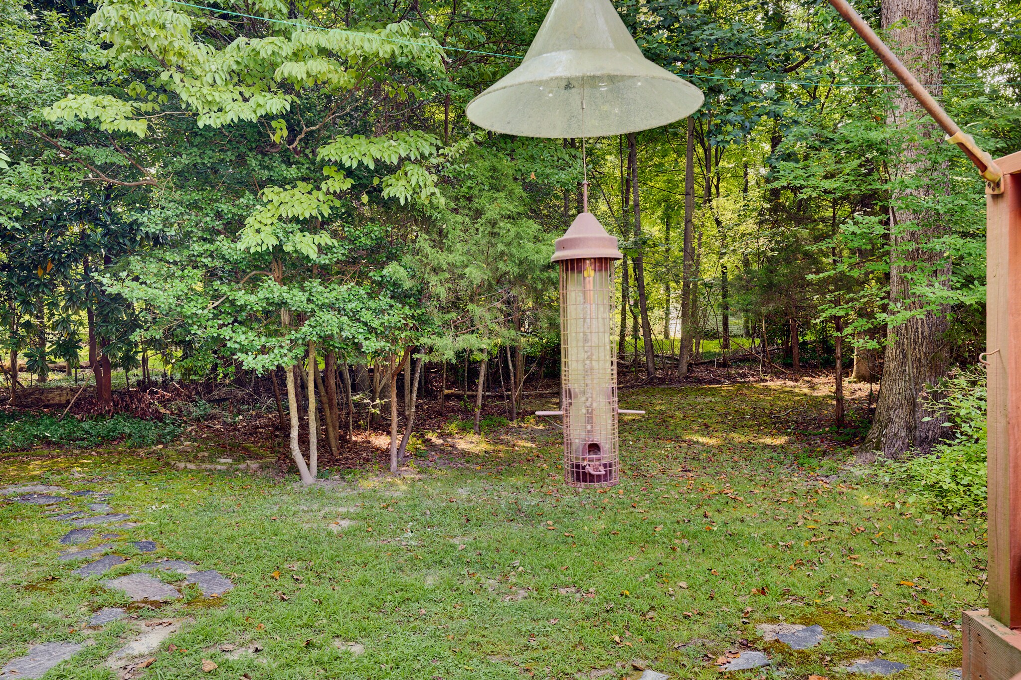 Large private wooded backyard oasis - 114 Richards Rd