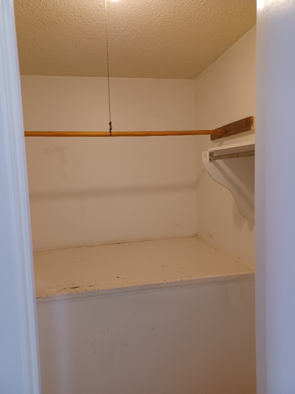 Building Photo - 313 Bolivar Ave