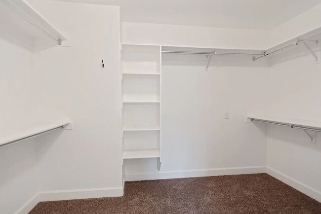 Building Photo - Luxurious Spacious layout in convenient Sa...