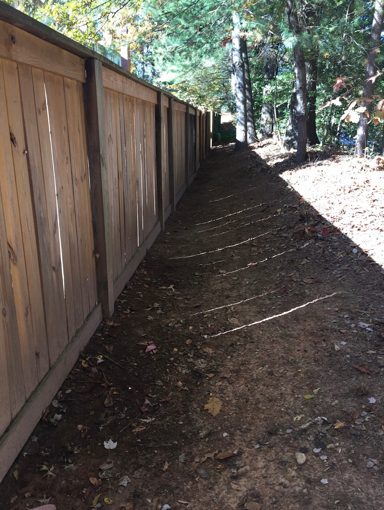 Building Photo - 4609 Luxberry Dr