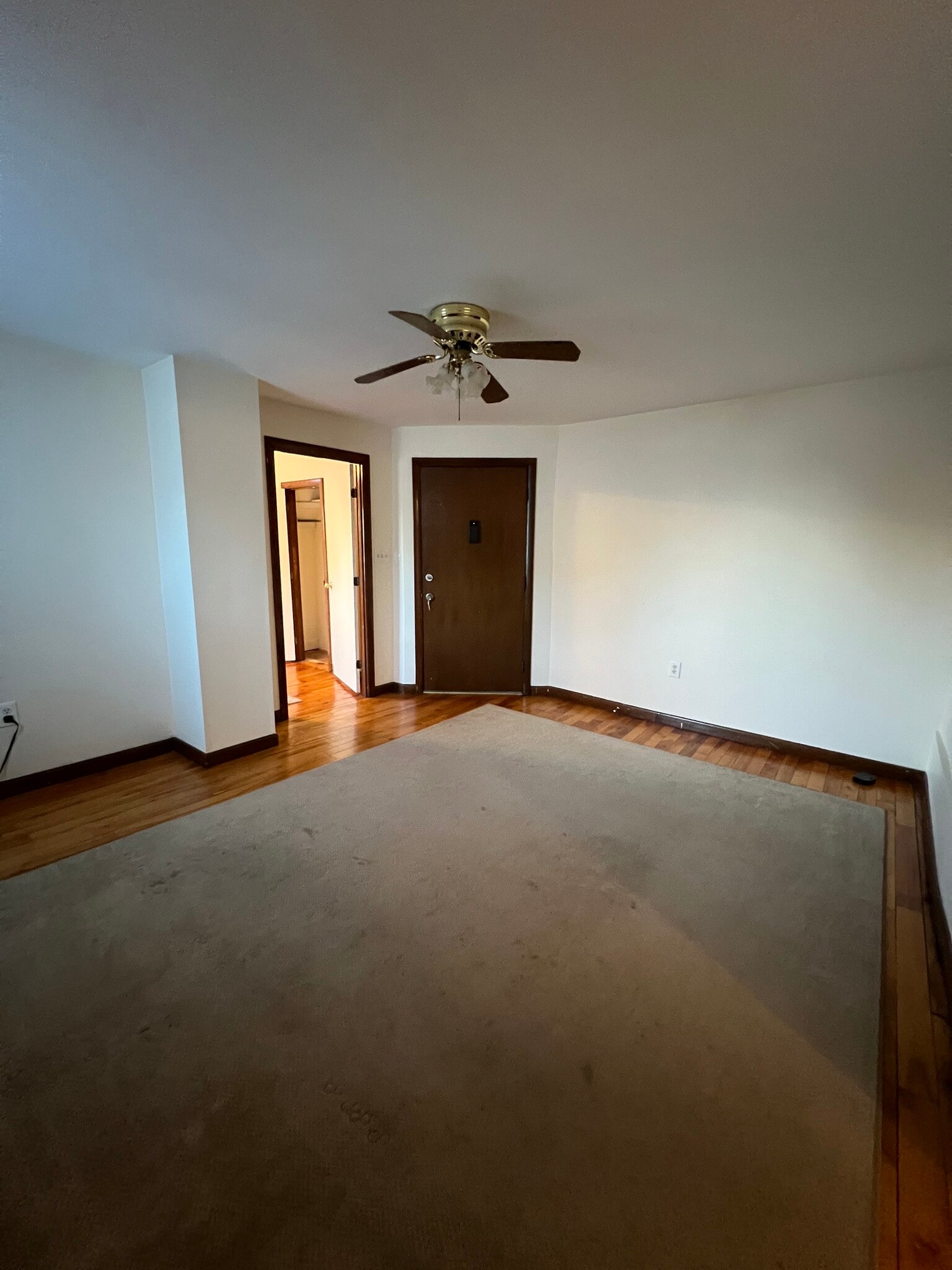 Building Photo - 111 W Hollis St