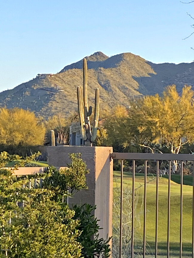 Building Photo - 6894 E Thirsty Cactus Ln